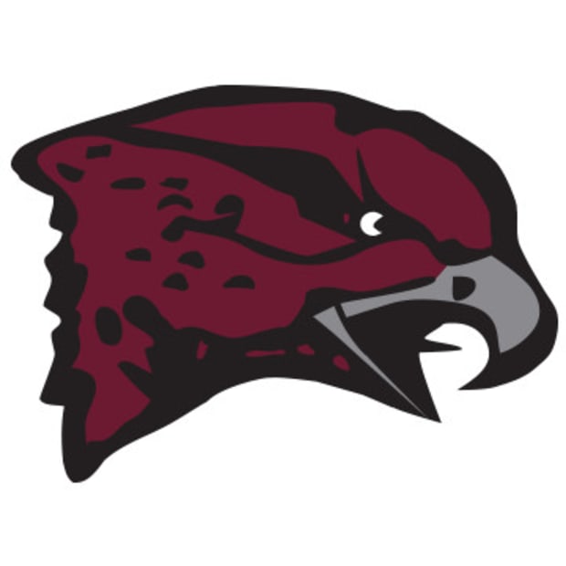 Maryland Eastern Shore Hawks Logo